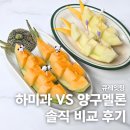 멜론 - 안산시 단원구 | 하미과 vs 양구멜론 비교 후기 식감부터 취향까지 달랐던 고당도 멜론