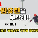 배호성스키아카데미