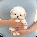 송이로14길 이미지