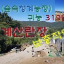 삼닭농장 네이버블로그