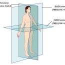 윤진화 퍼스널트레이닝 이미지