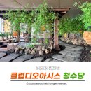 해운대 놀거리 감성가득한 클럽디오아시스 청수당