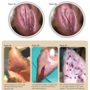 미사 센트럴 동물병원 이미지