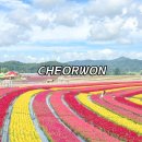 25년 37차 정기산행/철원 고석정 꽃축제, 포천 한탄강 가든페스타( Y자 출렁다리) 이미지