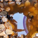 박종상농장 이미지