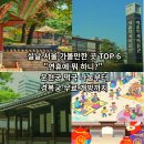온마을축제) 무지개 도어벨 만들기(15:30~16:00) | 설날 서울 가볼만한 곳 TOP 6 "연휴에 뭐 하니?" 운현궁 떡국 나눔부터 경복궁 무료 개방까지 총정리