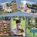 고성초교 앞 이미지