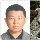 쌍둥이축산2 이미지