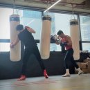 헐크복싱 이미지