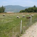 한국목장 이미지