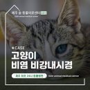 제주24시숨동물의료센터 이미지
