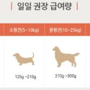 인섹트 파워 이미지