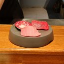 씨유 아주경동리인점 | 해운대 참치 - 혼마구로 코스요리가 좋은 술집, 하루참치