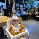 아비꼬용인 | [용인맛집] 6개월 아기랑 보정동 카페거리 | 아비꼬 카레 방문 후기