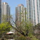 반포좋은공인중개사사무소 이미지