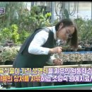 다육촌 이미지