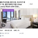 호텔 프랑스 | [일상]잠실 프랑스 감성 호텔 ‘소피텔 SOFITEL’ 호캉스 솔직후기
