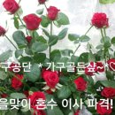 가구골든샾