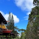 죽림가든 이미지