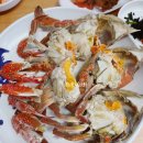 연평도 목포 산꽃게 | 마장동 꽃게 맛집 원조는 연평도 목포 산꽃게에요