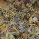 외꽃버섯(꾀꼬리버섯),자연산 더덕 이미지