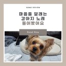 루이&DOGS 이미지