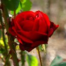 참좋은인연 이미지