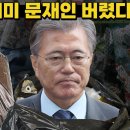 민심은 문재인 버렸다 실제바닥민심 댓글부대 작전세력 인터넷 커뮤니티 장악 보배드림 클리앙 이재명갤러리 잇싸 재명이네마을 문재인 이낙연지 이미지