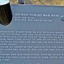 고랑포길 이미지