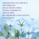 사시사철-풍요 네이버블로그