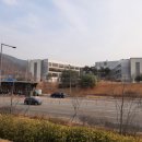 소담동 한국개발연구원 앞 이미지