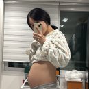 DOLL HOUSE | [말띠맘 임신일기]26~29주 육아필수템 추천, 리베르여성병원, 수원산후도우미, 백일해 예방접종, 역방쿠...