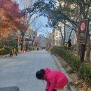 호암어린이공원 네이버블로그