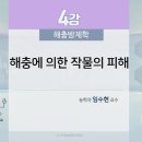 제4강 해충에 의한 작물의 피해 이미지