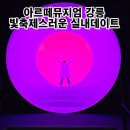 수풍숲 | 강릉 아이와 가볼만한곳 실내 아르떼뮤지엄 실내데이트