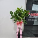 혼공 스터디 카페 이미지