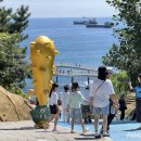 동해시-36 이미지