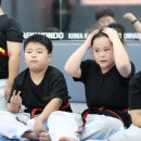 봉화태권도장 이미지