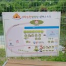 비학농원 캠핑장 이미지