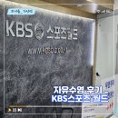 kbs 스포츠 월드(88체육관) 주말 자유수영한 후기