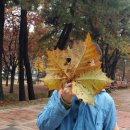 봉림평생교육센터 이미지