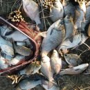 불암치안센터　 이미지