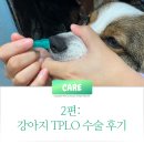 예은동물의료센터 이미지