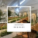 둔산중로-14 | 14. 대전 메리비아포레 위치 및 주차 후기