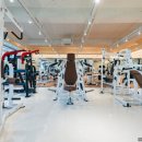 포짐 장기본점 이미지