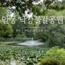 의암수력발전소 주차장 입구 | [경북 안동] 한국의 지베르니? 낙강물길공원 위치 주차 여름방문 후기