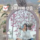 자목련 | 구례 가볼만한 카페 ☕ 자목련 피는 조용한 한옥카페 안음