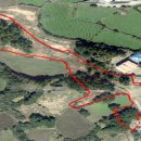 제주그루 이미지