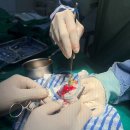 일관메디컬 이미지