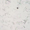 서동 동물메디컬센터 이미지